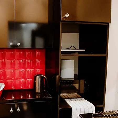 Grand Luxuryb&b -piotrkowska St Free Parking Apartment Lodz (Lodz)