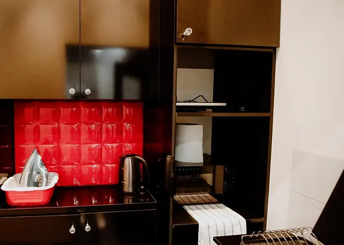 Grand Luxuryb&b -piotrkowska St Free Parking Lägenhet Łódź